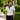 Mineral Bruno Sage  Polo shirt